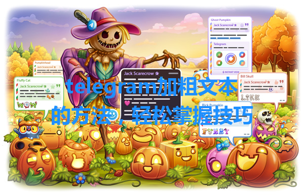 telegram加粗文本的方法，轻松掌握技巧 一