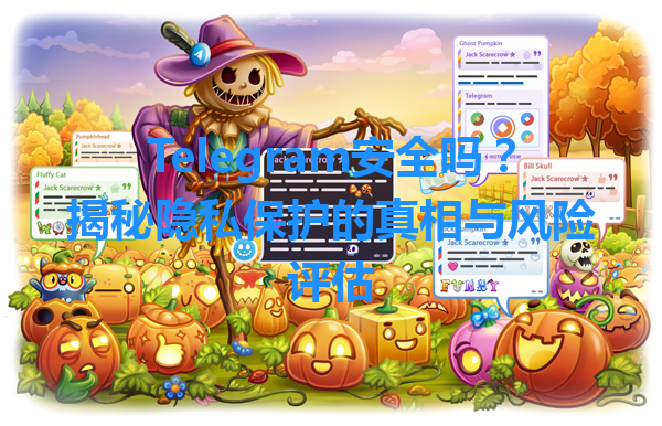 Telegram安全吗？揭秘隐私保护的真相与风险评估 一